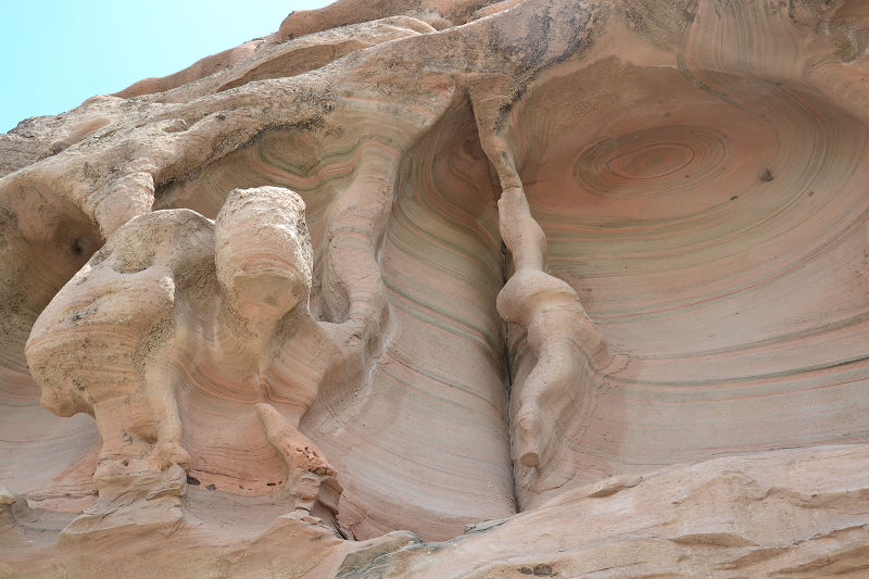 dsc_0919.jpg