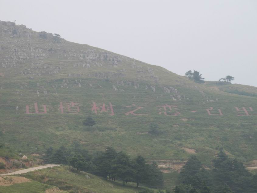20120623 048.jpg