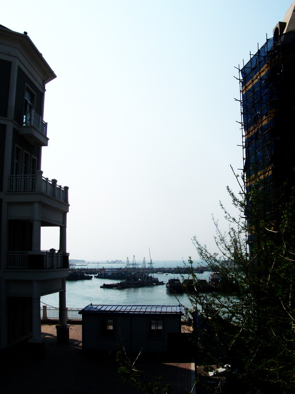 dscf0370.jpg