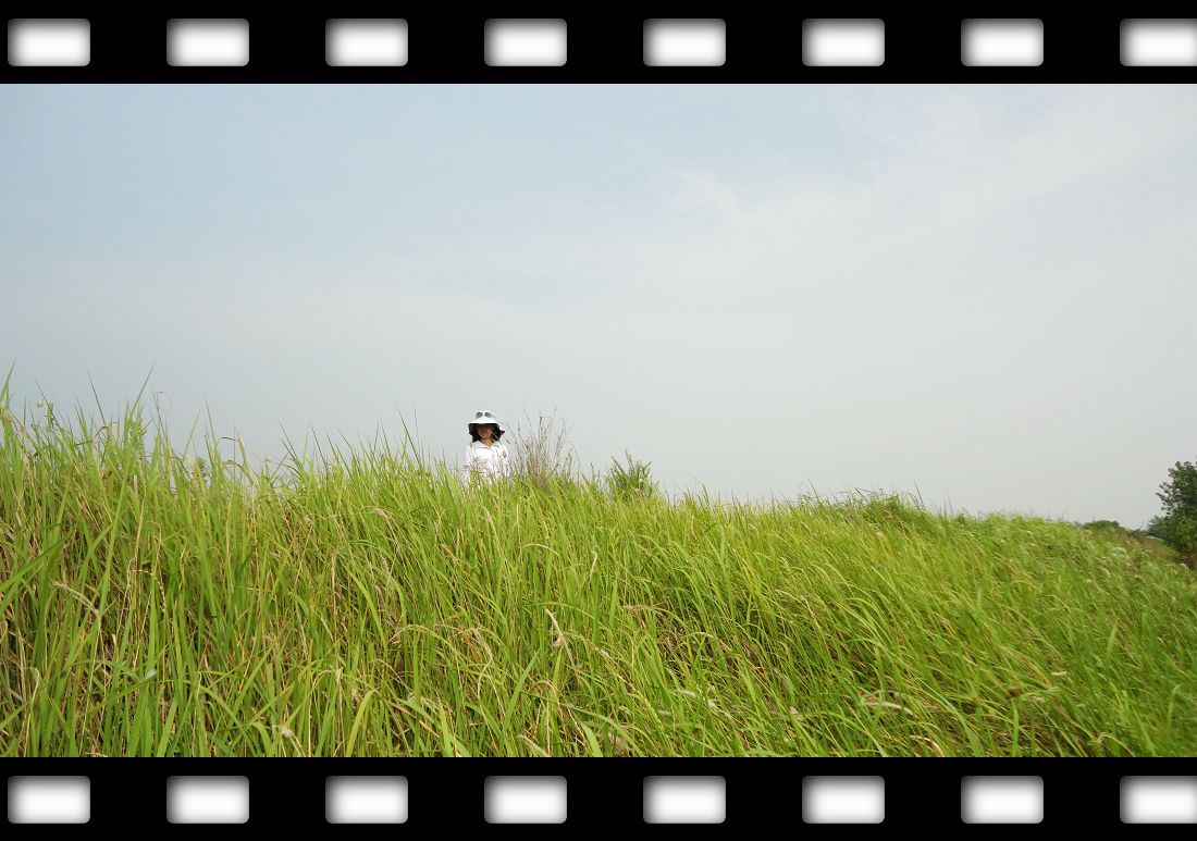 neo_img_dsc08004.jpg