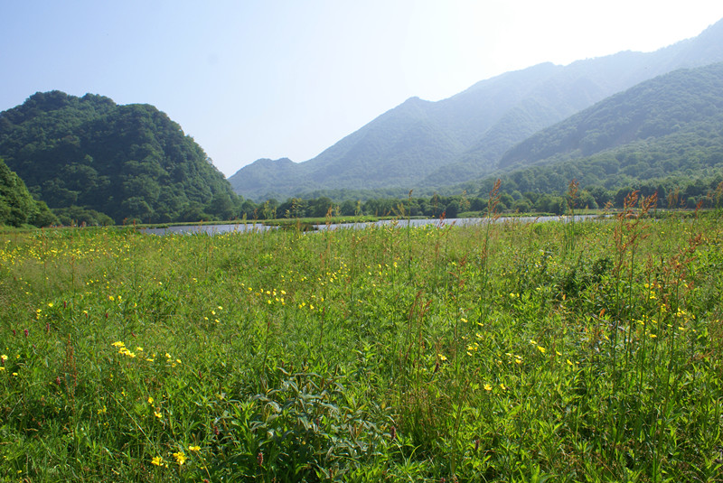 dsc03614_.jpg
