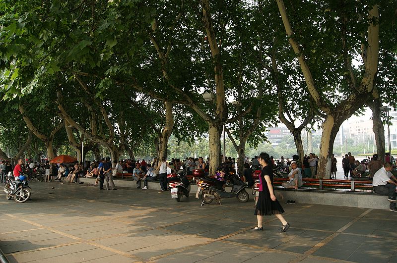 dsc01234.jpg