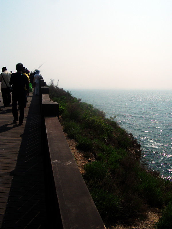 dscf0385.jpg
