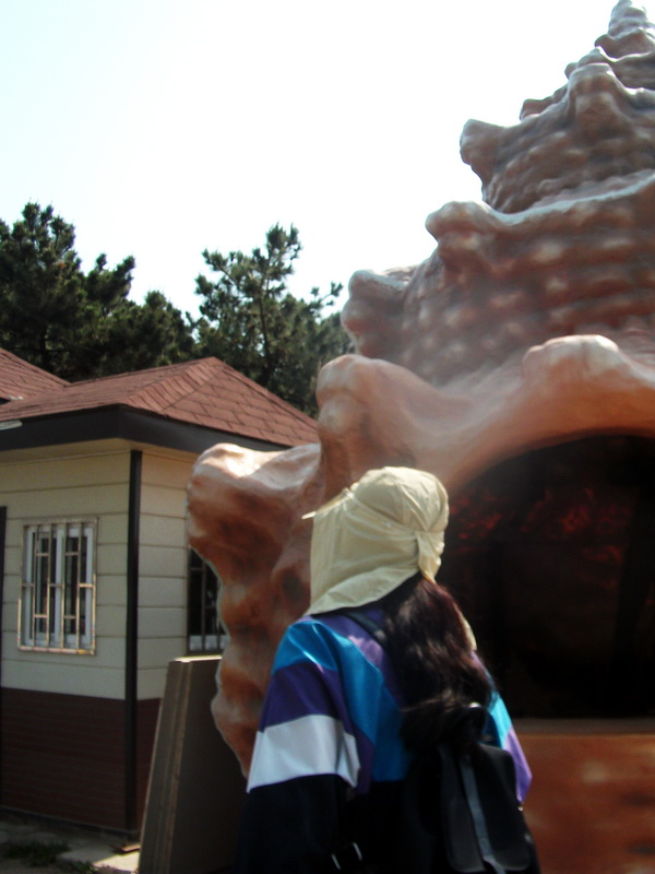 dscf0388.jpg