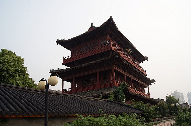 dsc01247.jpg