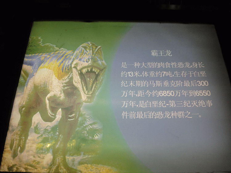 dsc09800.gif