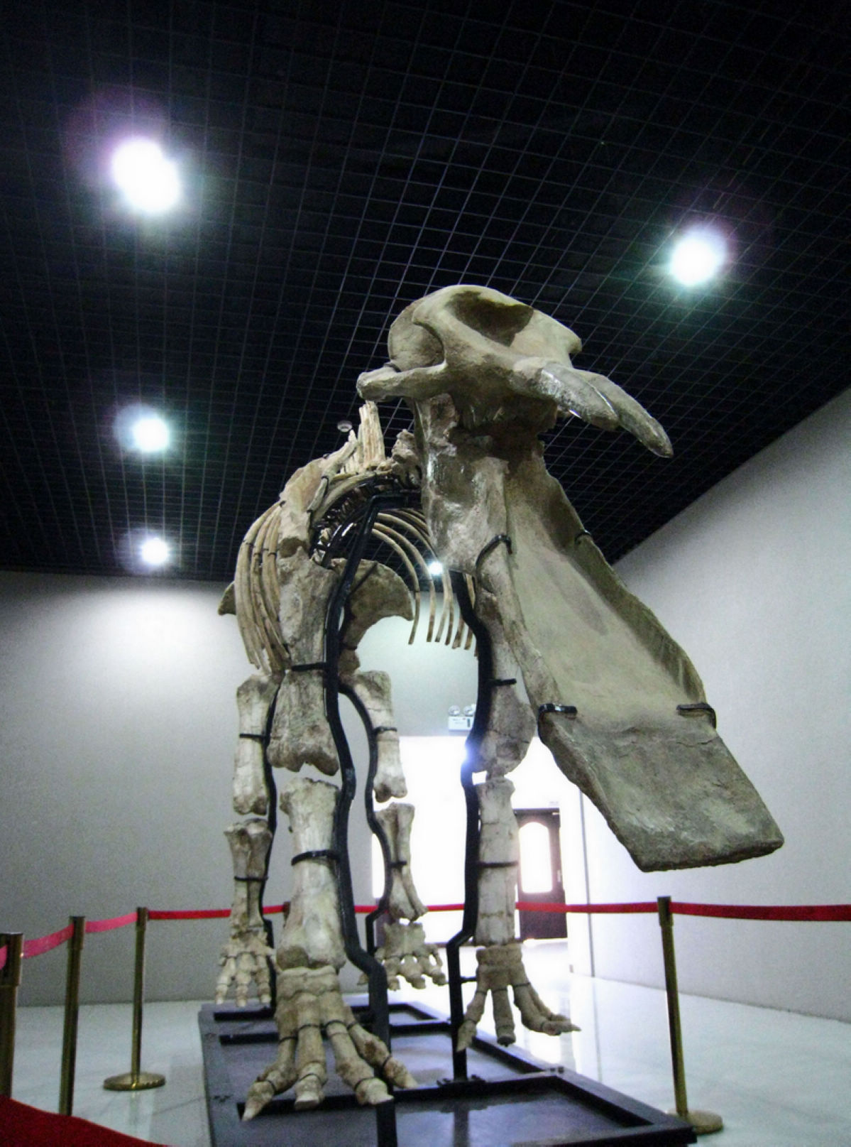 Ƭ 021.jpg