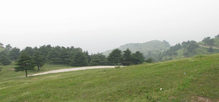 20120623 100.jpg