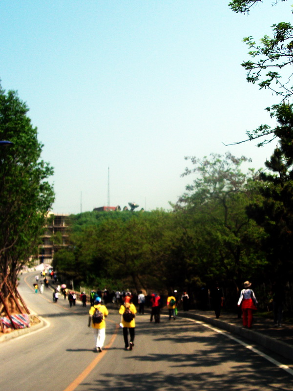 dscf0389.jpg