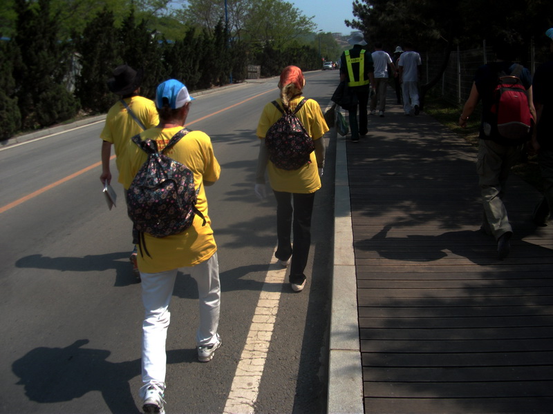 dscf0390.jpg