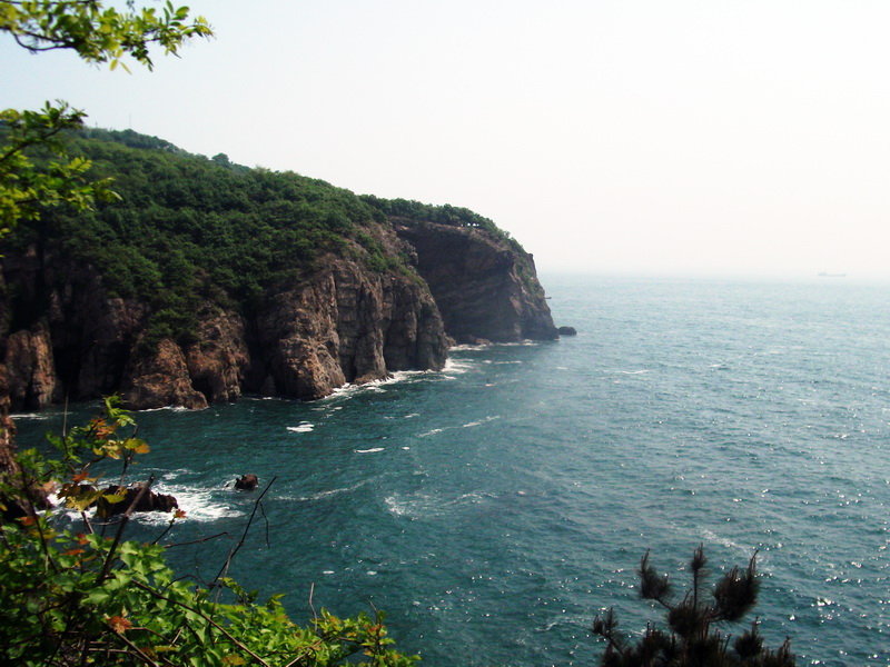 dscf0391.jpg
