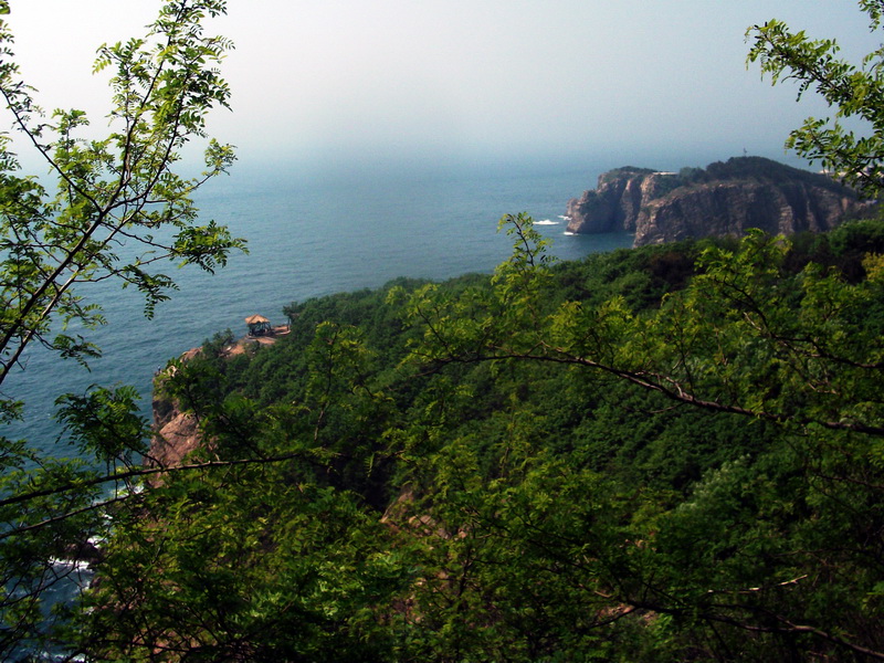 dscf0395.jpg