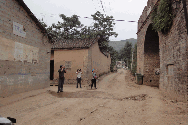 dsc09870.gif