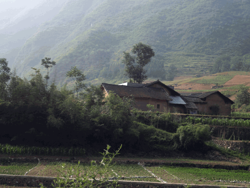 dsc09880.gif