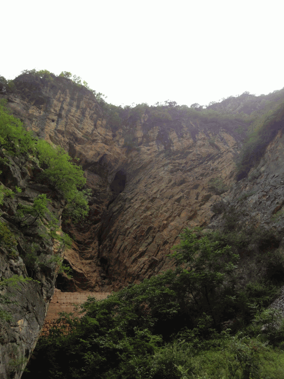 dsc09881.gif