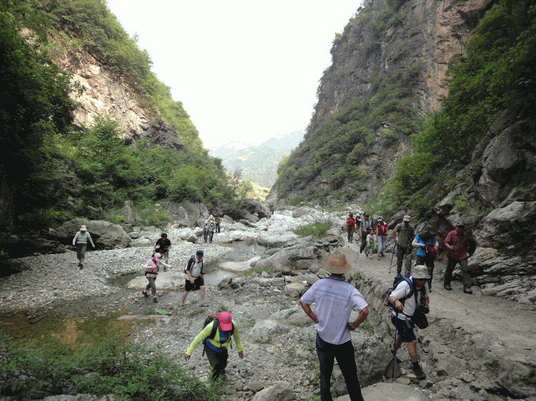 dsc09882.gif
