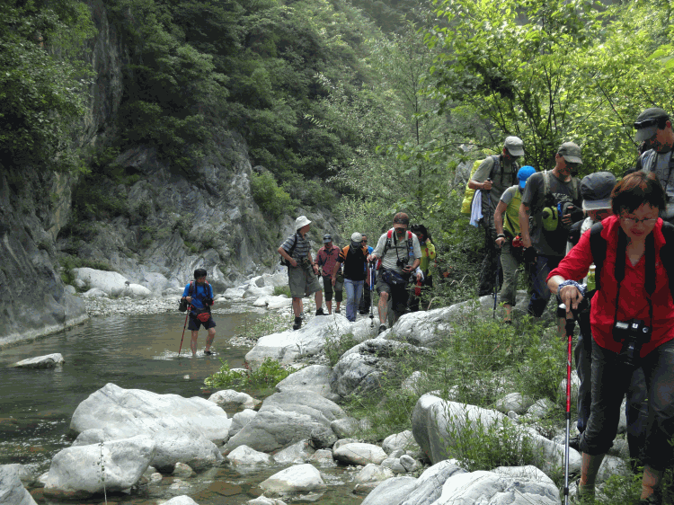 dsc09904.gif