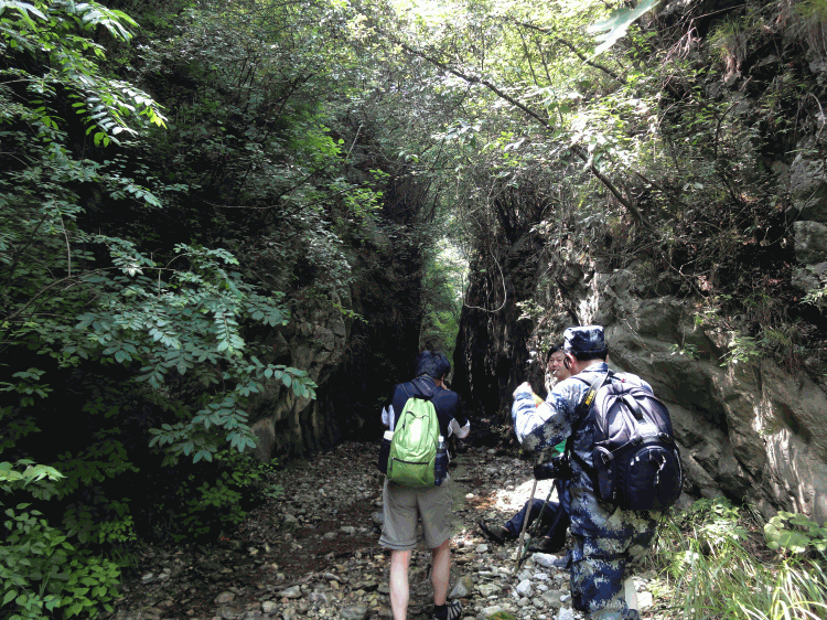 dsc09905.gif