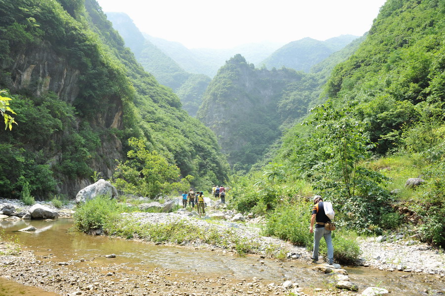 dsc_8147.jpg