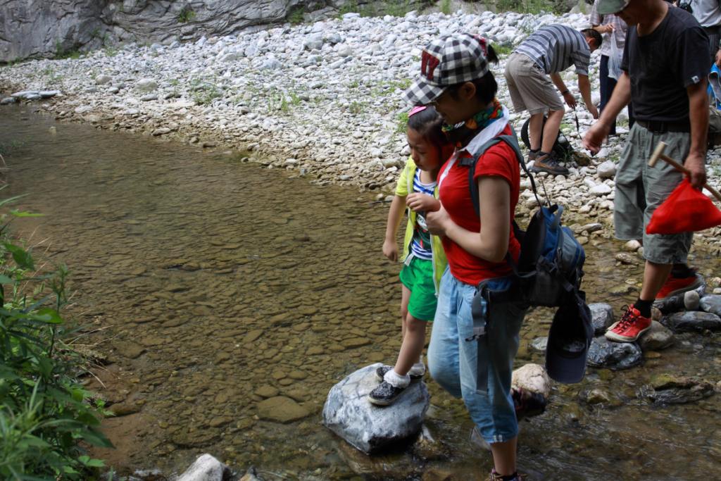 img_6480_1.jpg