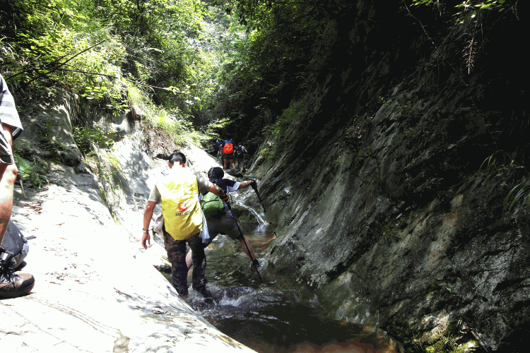 dsc09907.gif