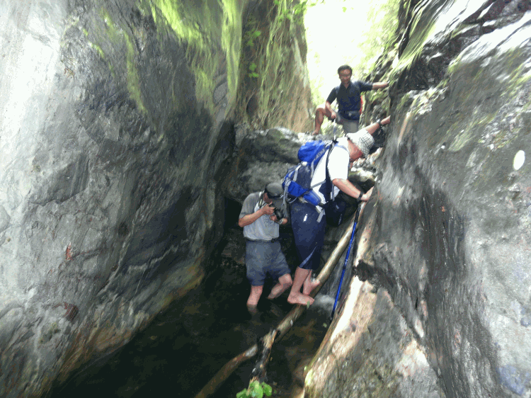 dsc09912.gif