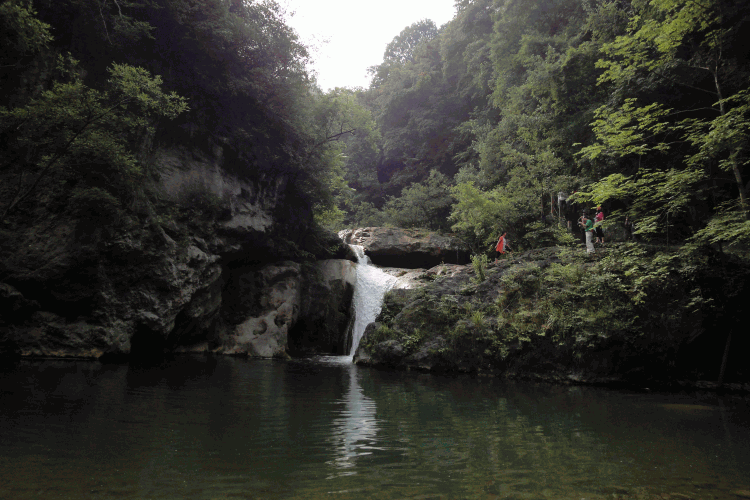dsc09929.gif
