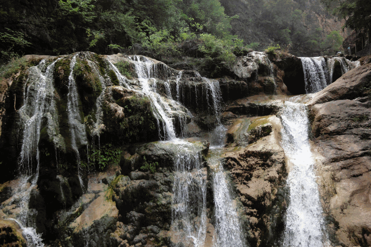 dsc09931.gif