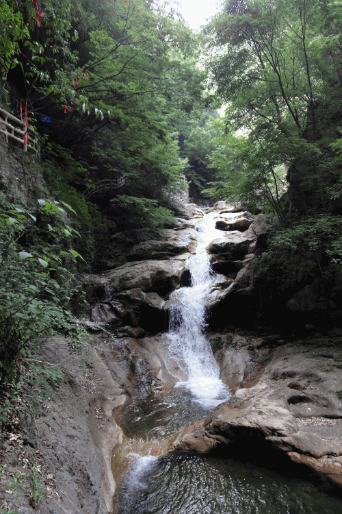 dsc09934.gif