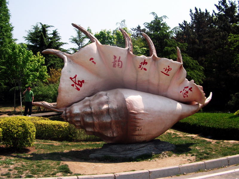 dscf0407.jpg