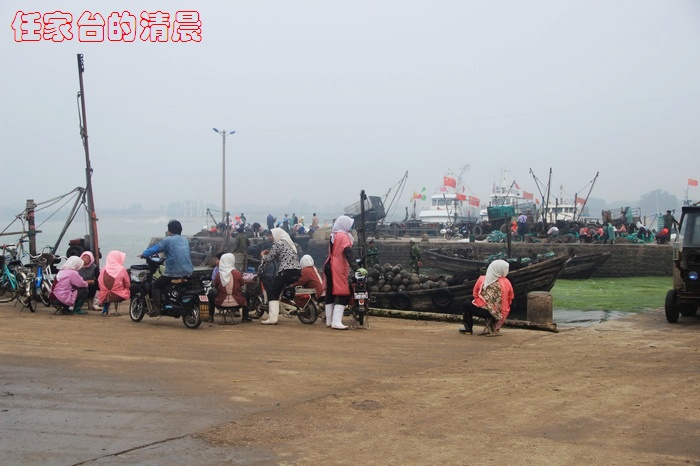 neo_img_12 503.jpg
