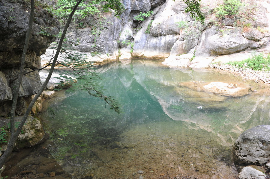 dsc_8238.jpg