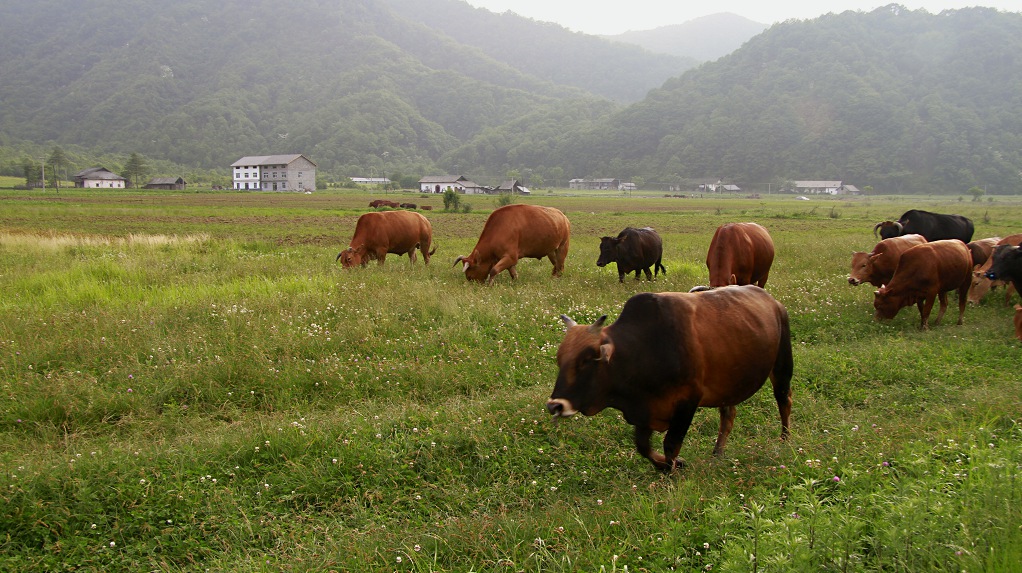 _mg_9895.jpg