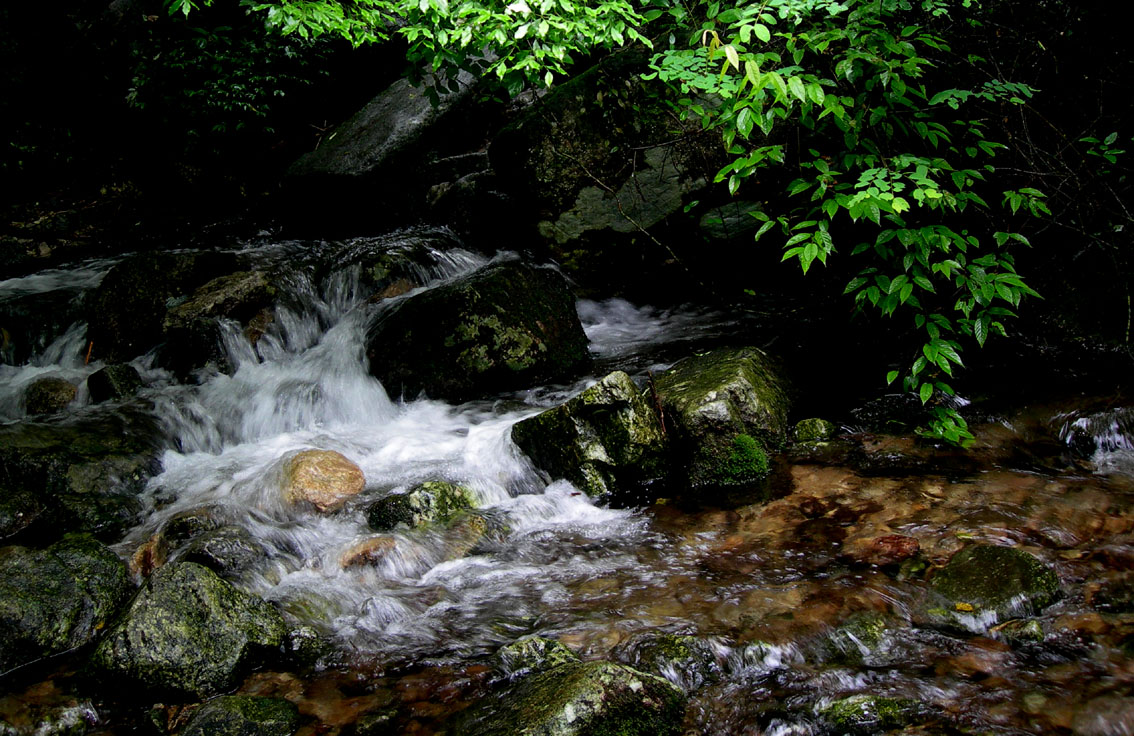 dscn4471.jpg