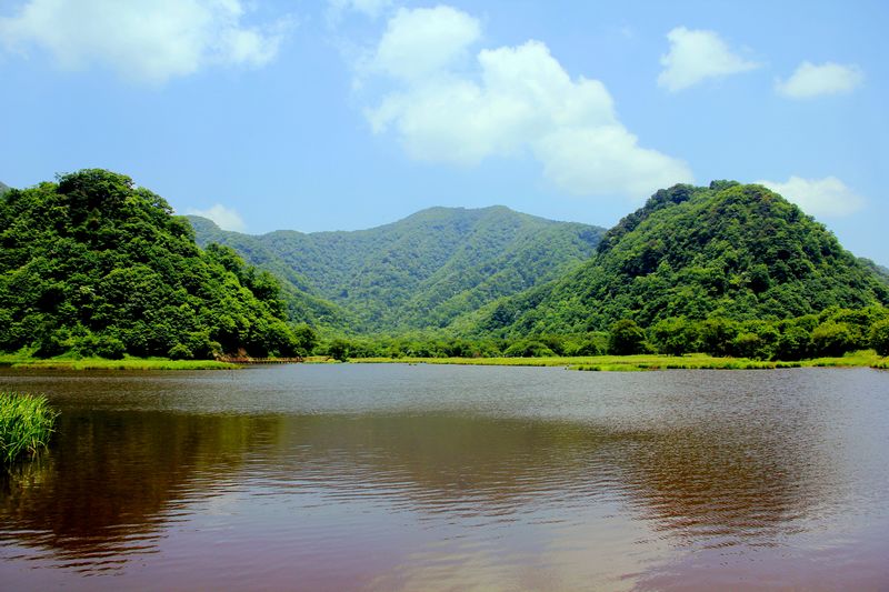 _mg_3445.jpg