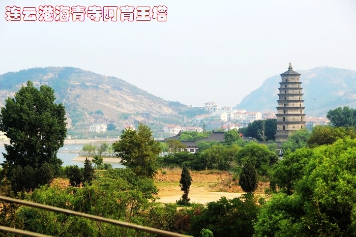 neo_img_12 586.jpg