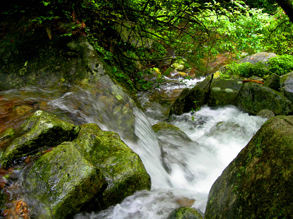 dscn4474.jpg