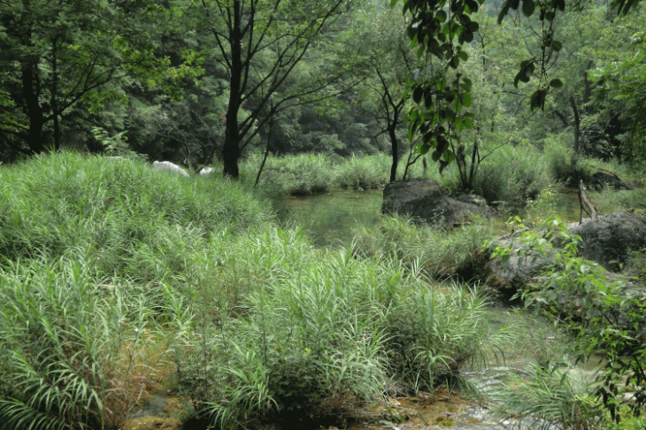 dsc09998.gif
