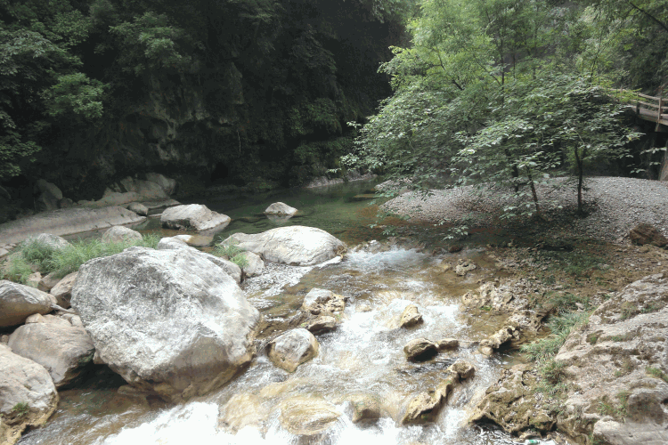 dsc09976.gif