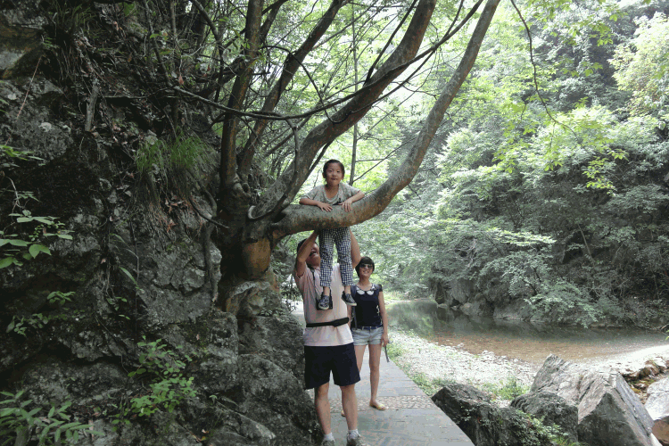 dsc09952.gif
