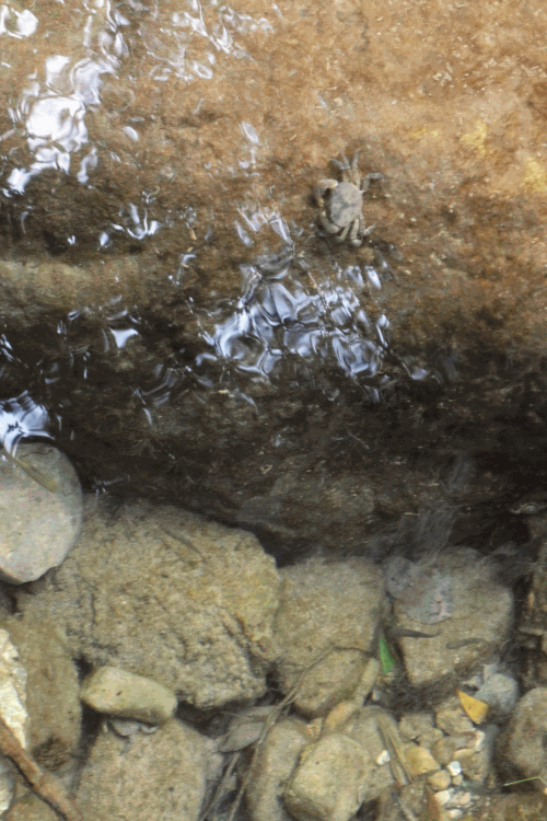dsc09947.gif