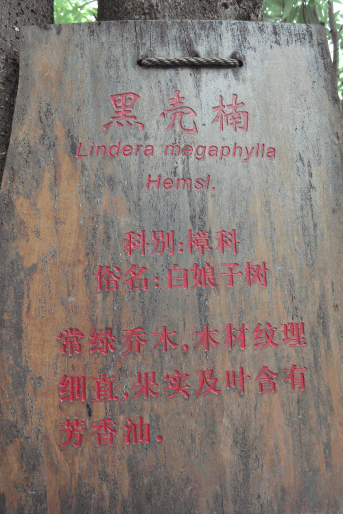 dsc09958.gif