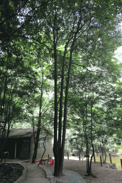 dsc09959.gif