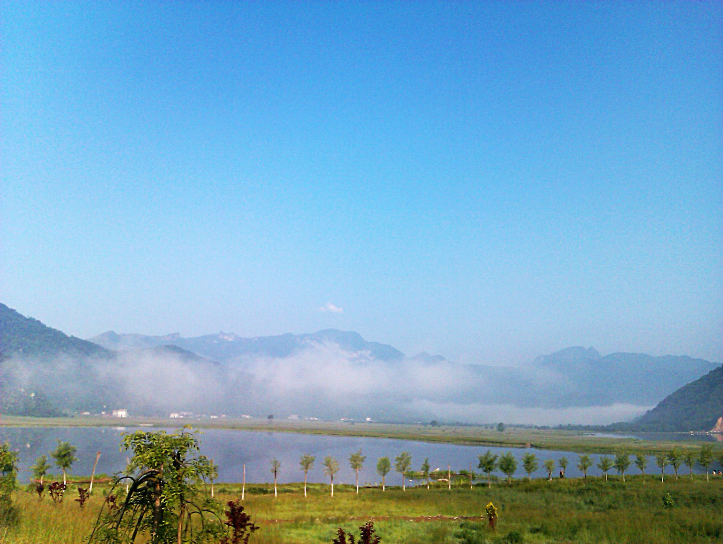 imag0211_.jpg