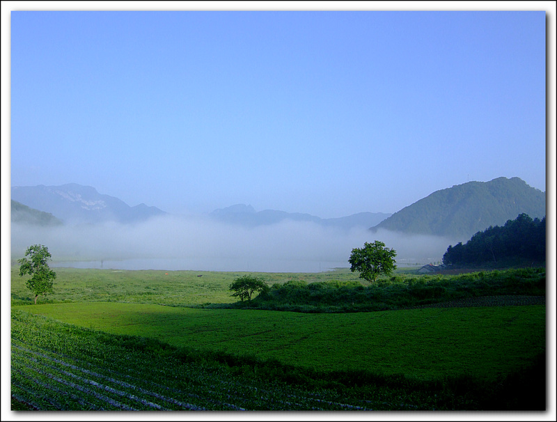 dscf6094ay.jpg