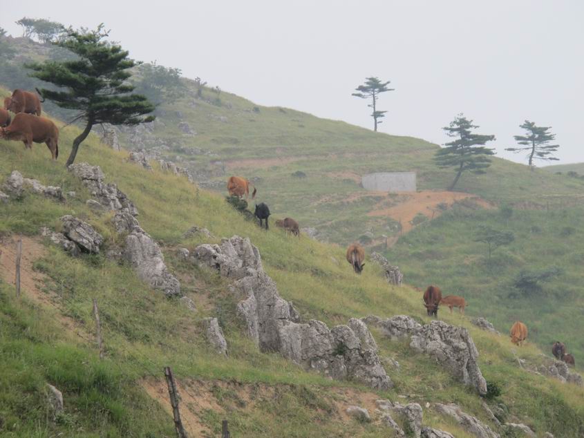 20120623 046.jpg