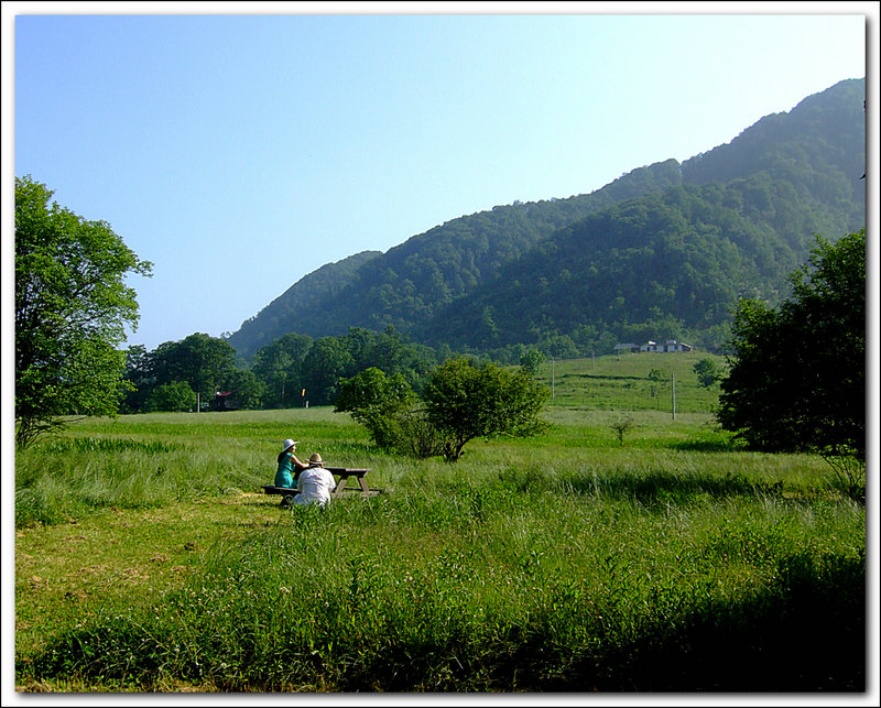 dscf6196ay.jpg
