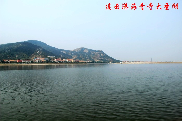 neo_img_12 590.jpg