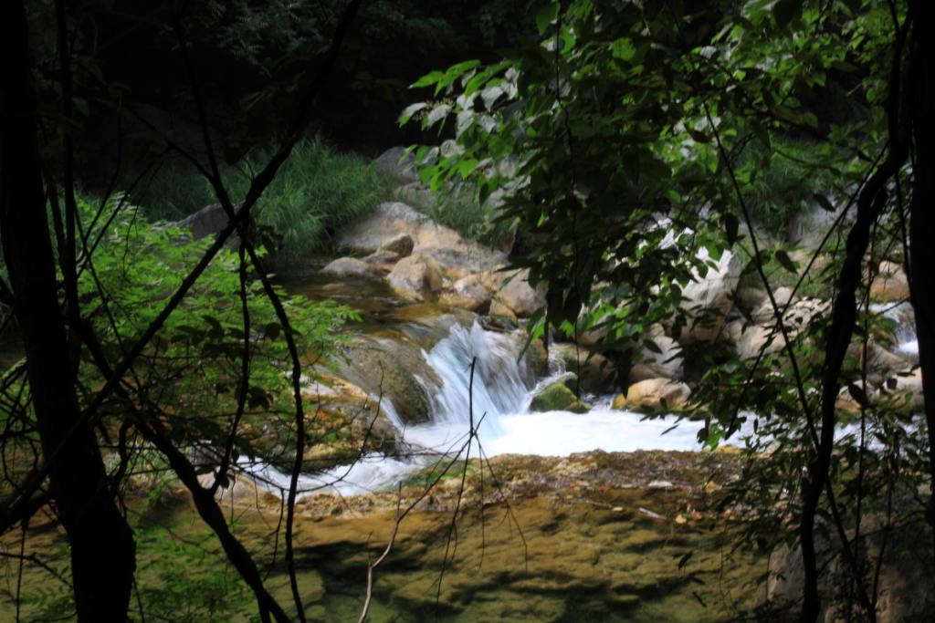 img_6679_1.jpg