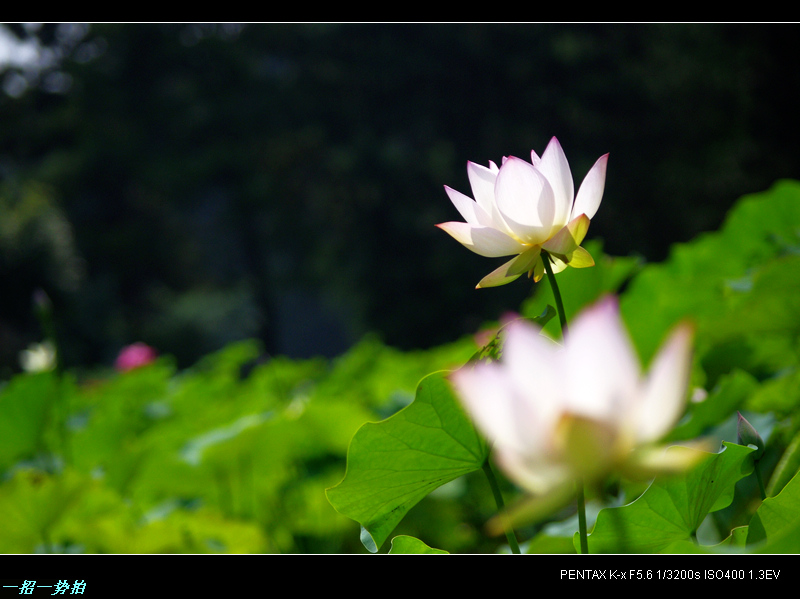imgp9802.jpg